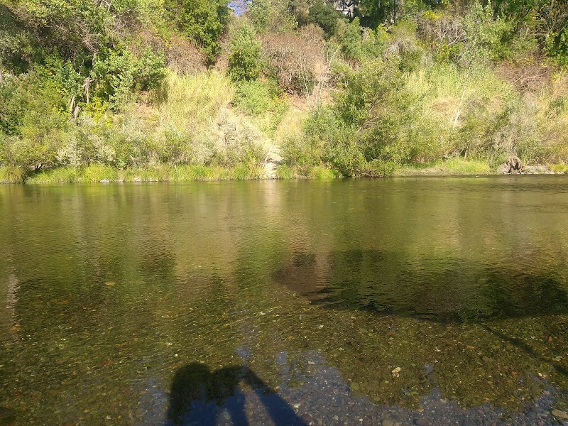Del Rio Woods Regional Park photo 5