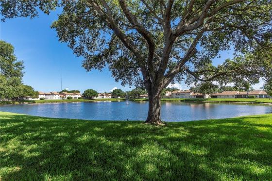 April Murphy - Real Estate Agent - Pinellas County photo 5