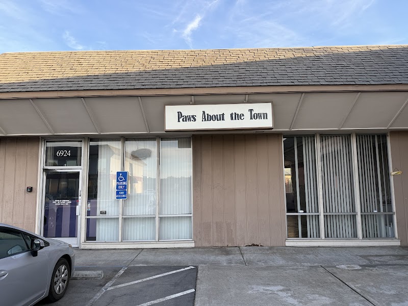 Photo of Paws About The Town