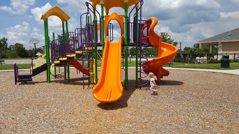 Avalon Park Wesley Chapel Community Center photo 4