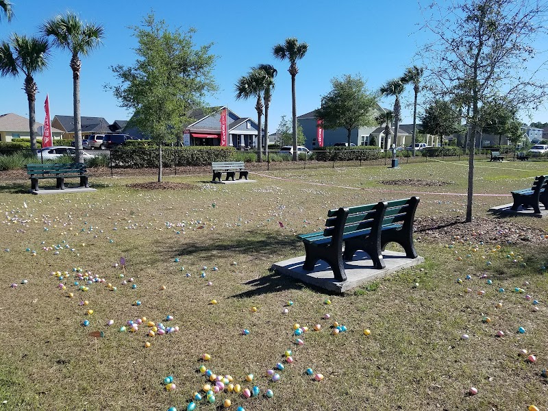 Avalon Park Wesley Chapel Community Center photo 3