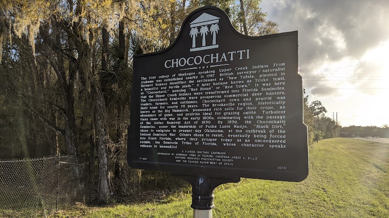 Chocochatti landmark photo 4