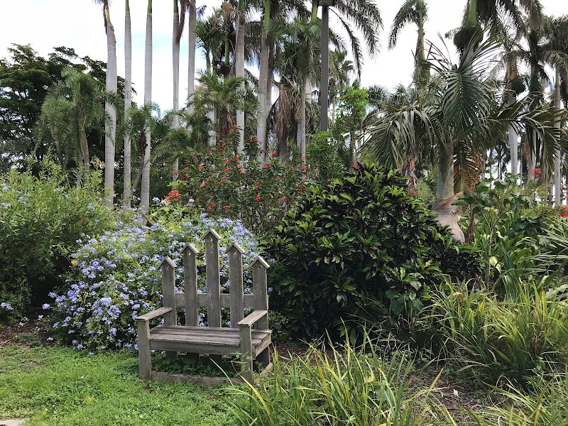 Palma Sola Botanical Park photo 3