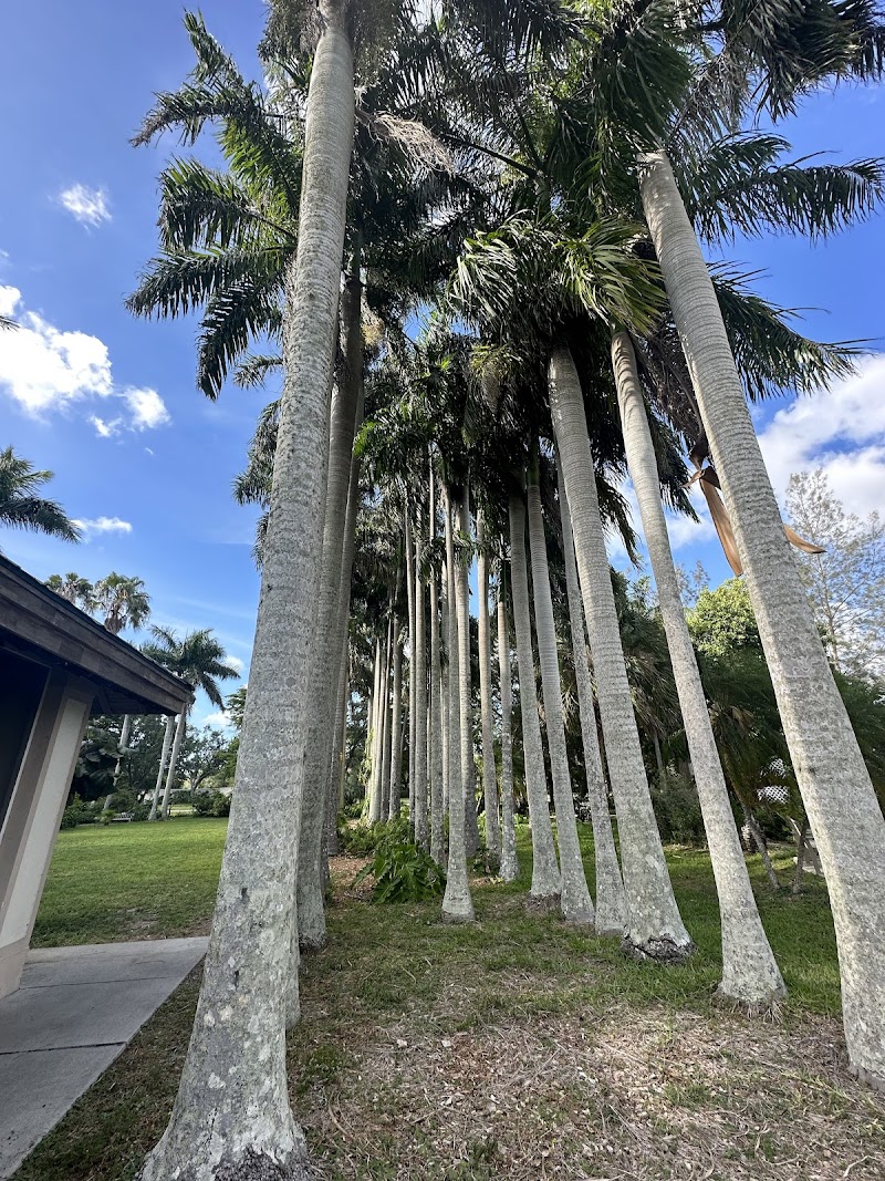 Palma Sola Botanical Park photo 5