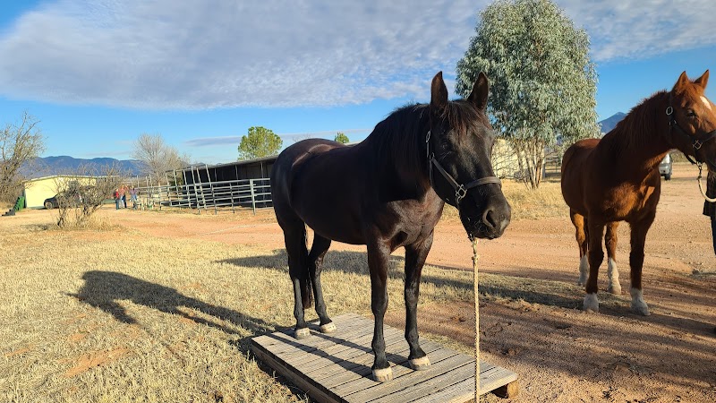 Photo of High Desert Stables