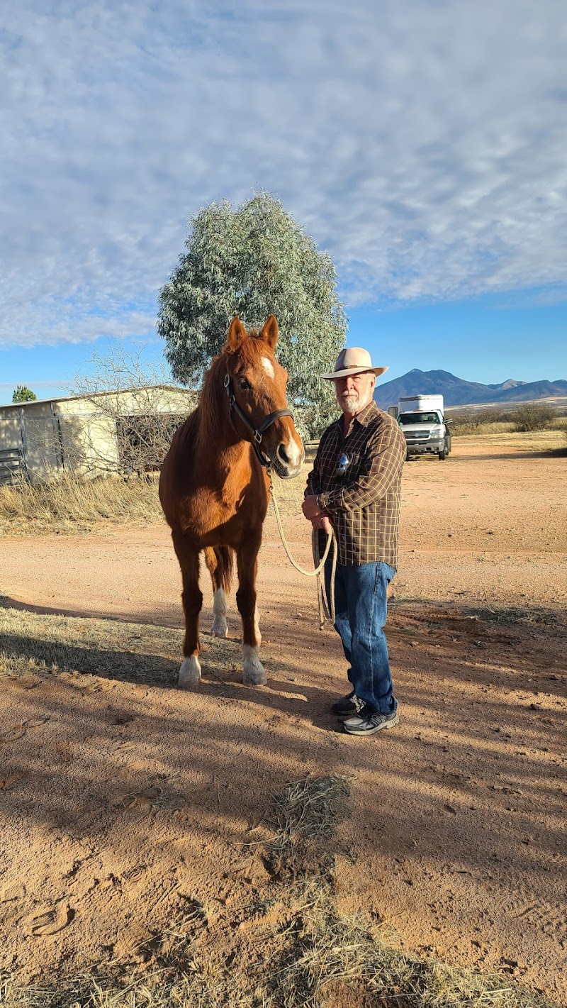 High Desert Stables photo 5
