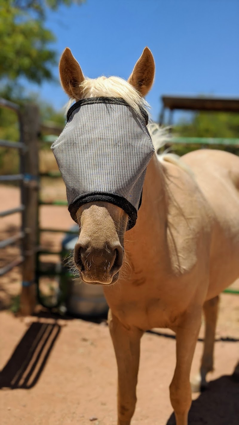 High Desert Stables photo 2
