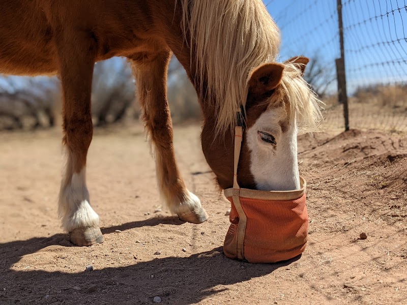 High Desert Stables photo 4