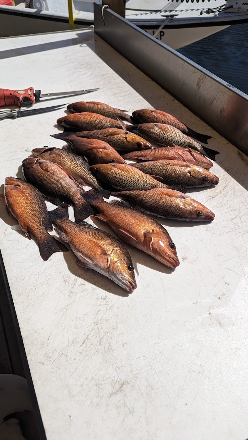 Fishin Magician Inshore Charters photo 3