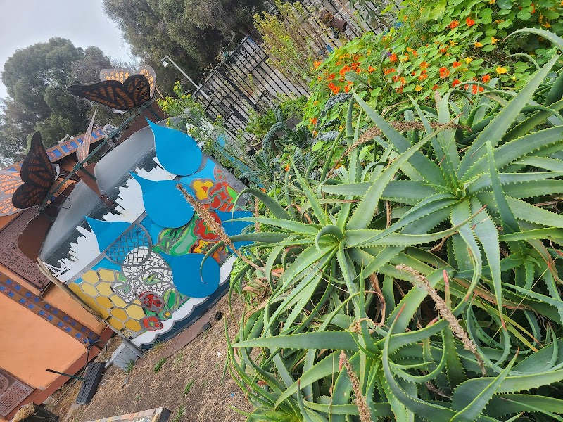 Big Daddy's Complete Rejuvenating Community Garden photo 5