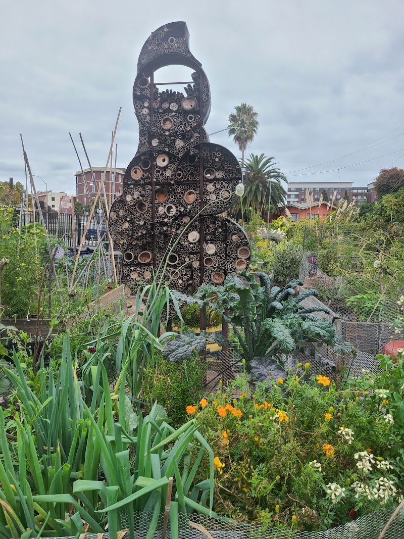 Big Daddy's Complete Rejuvenating Community Garden photo 3