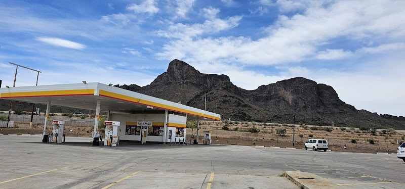 Shell photo 4