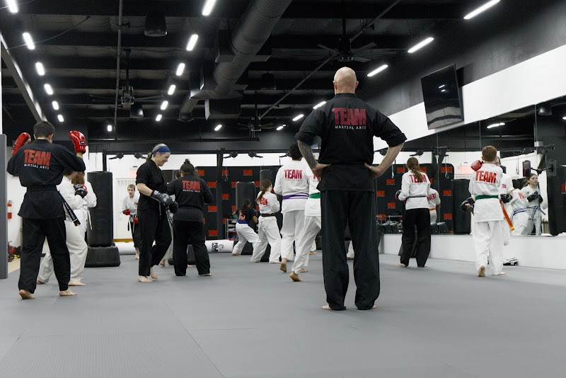 Team Martial Arts Inc. photo 4
