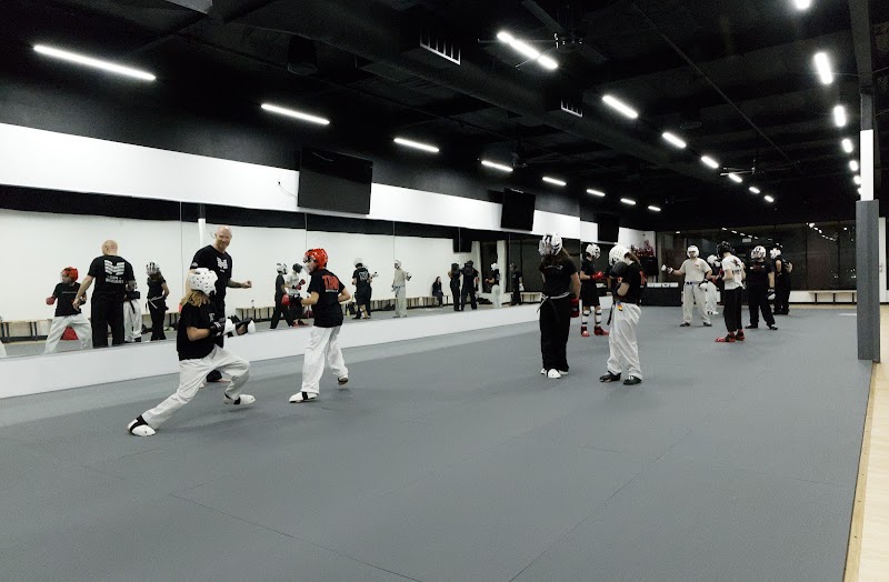 Team Martial Arts Inc. photo 3