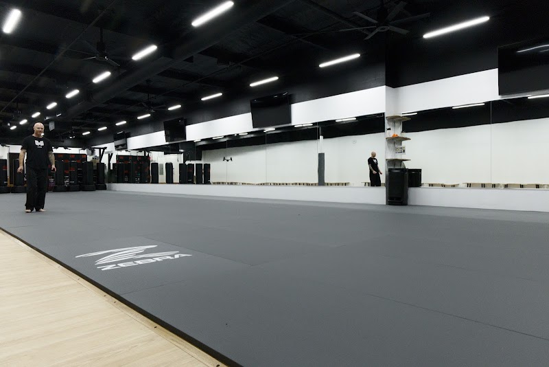 Team Martial Arts Inc. photo 5