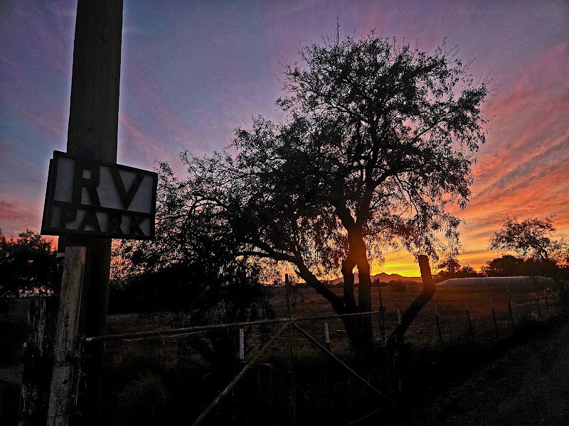 Tres Mesquites RV Park photo 4