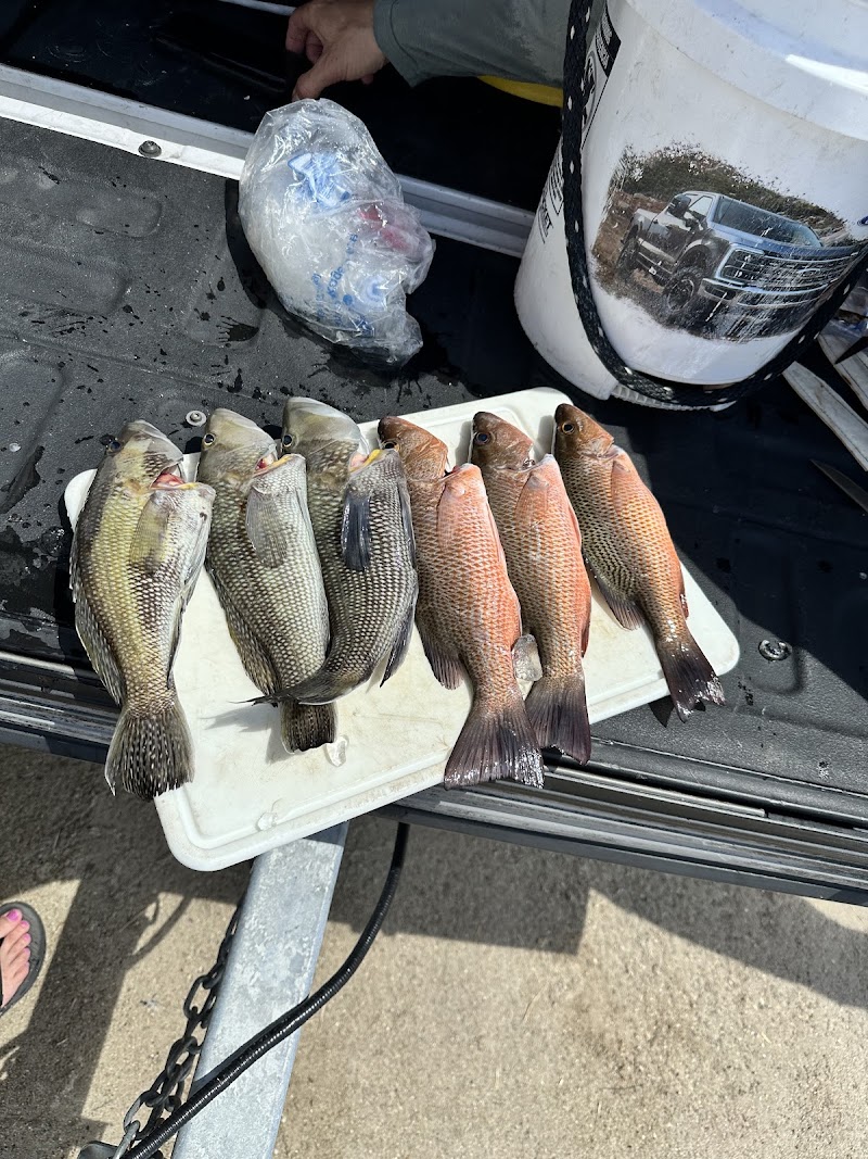 Capt. Luke with Cat 5 Fishing photo 2