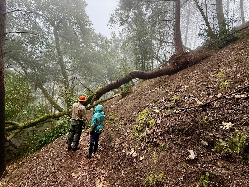 Stewards of the Coast and Redwoods photo 5