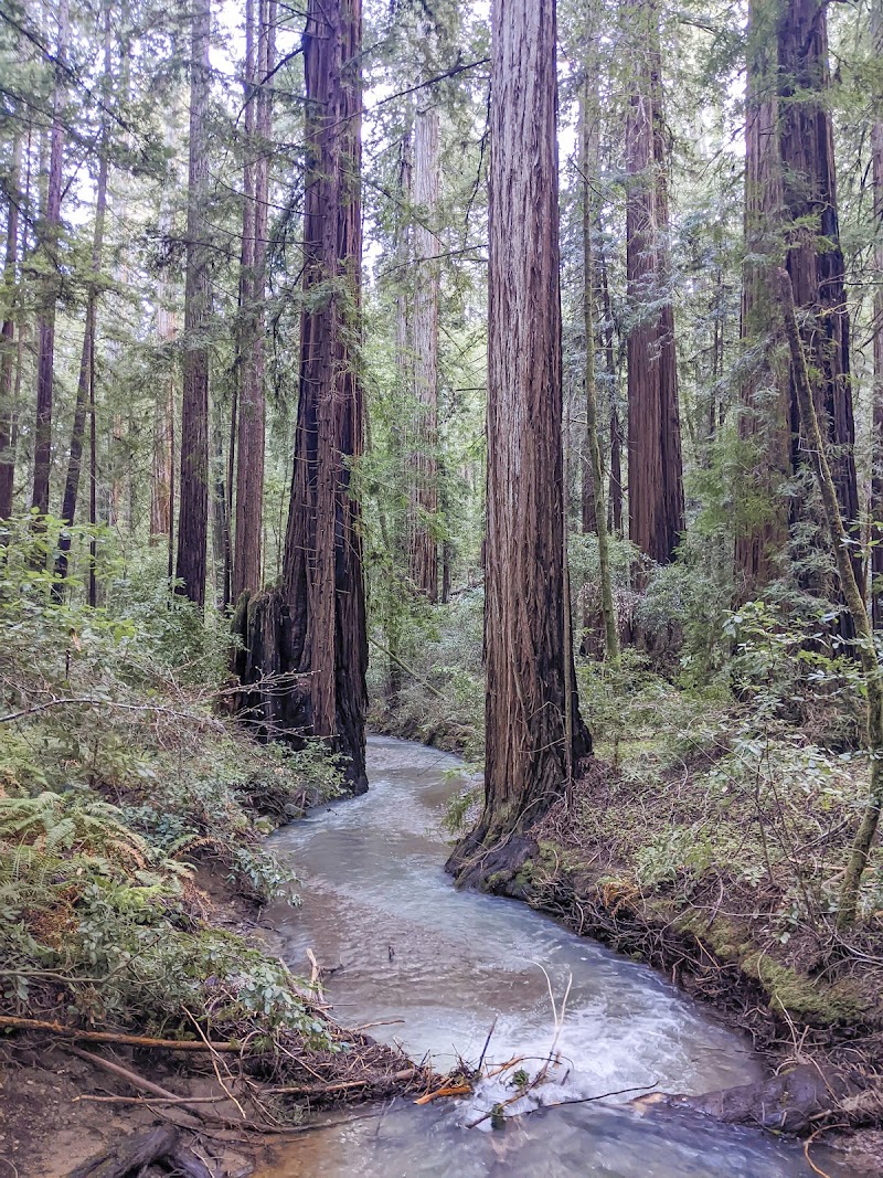 Stewards of the Coast and Redwoods photo 4