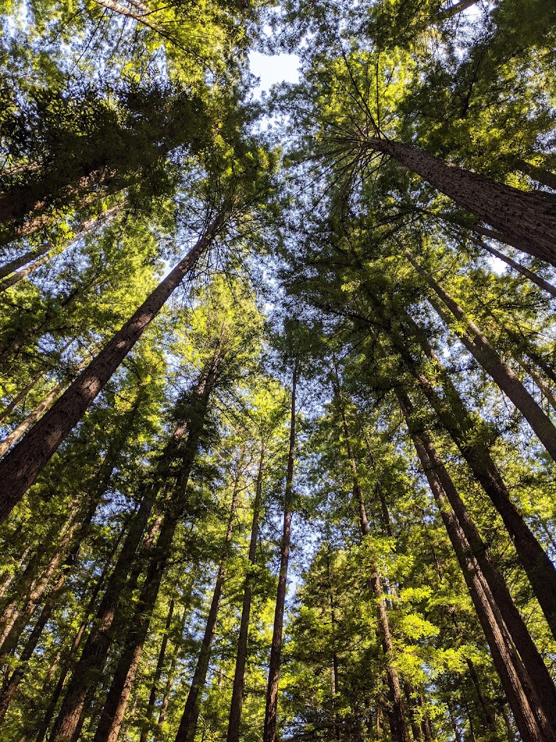 Stewards of the Coast and Redwoods photo 2