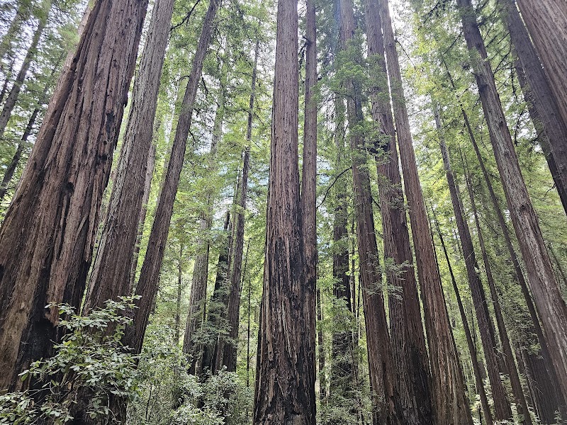 Photo of Armstrong Redwoods State Natural Reserve Visitor Center