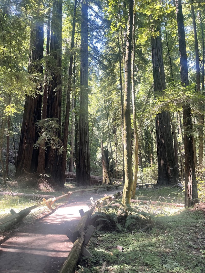 Armstrong Redwoods State Natural Reserve Visitor Center photo 2