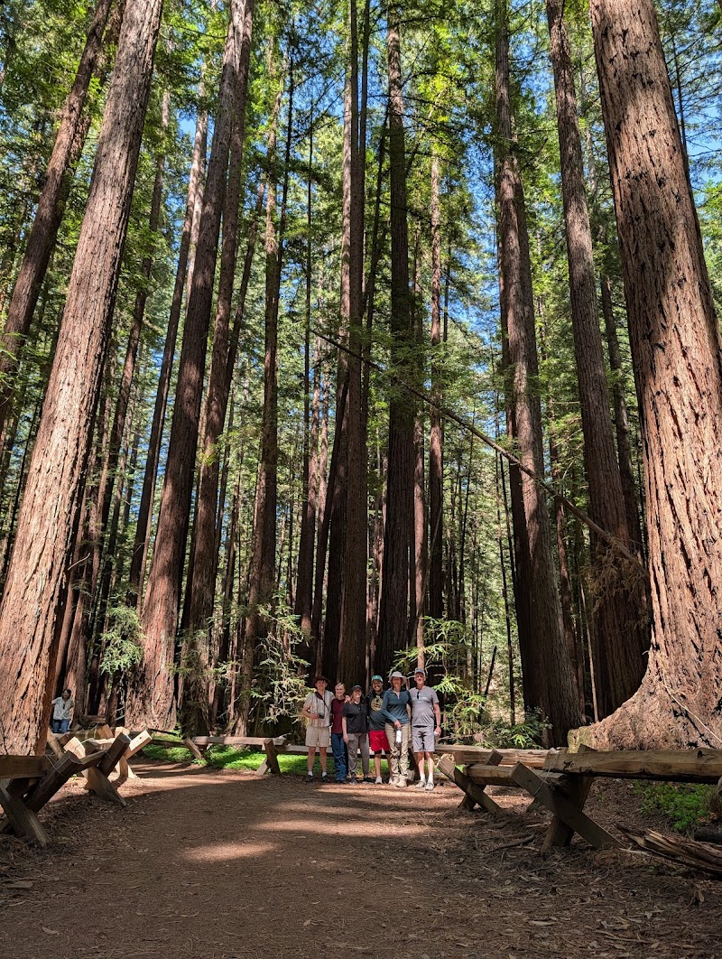 Armstrong Redwoods State Natural Reserve Visitor Center photo 5