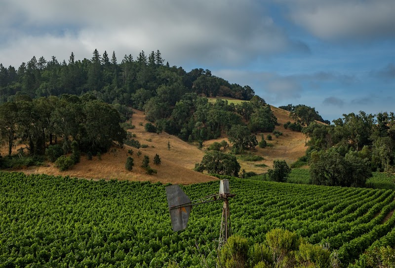 EHRET Winery Tasting Room photo 3