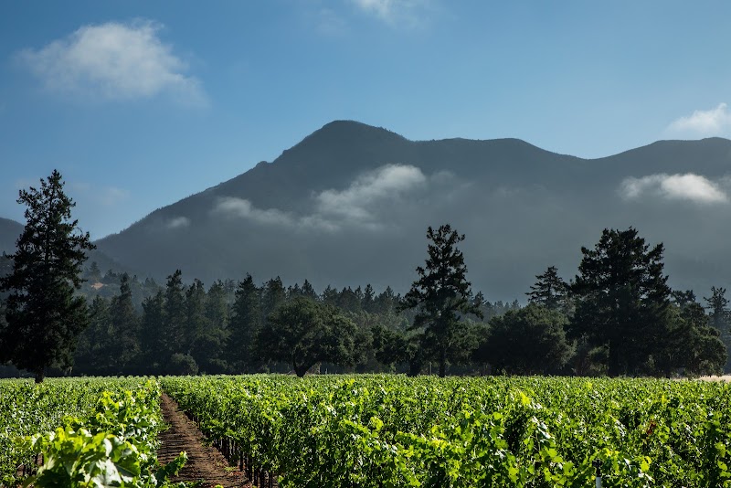 EHRET Winery Tasting Room photo 4