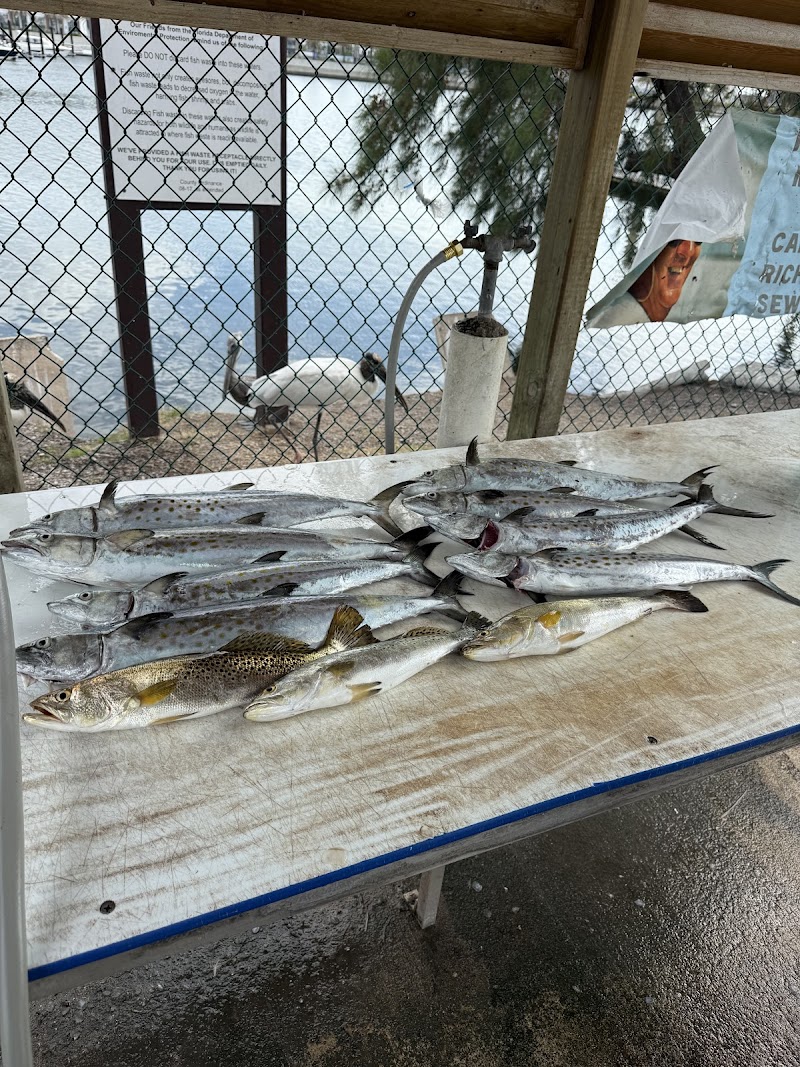Beyond Fishing Charters photo 5