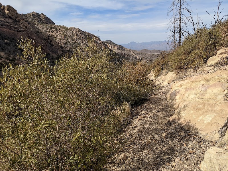 Galiuro Wilderness photo 4