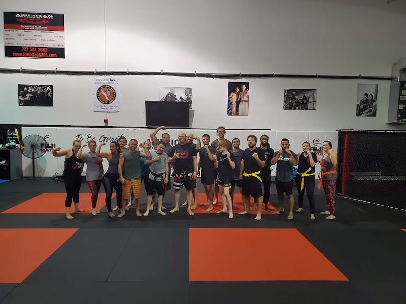 American Mixed Martial Arts photo 3