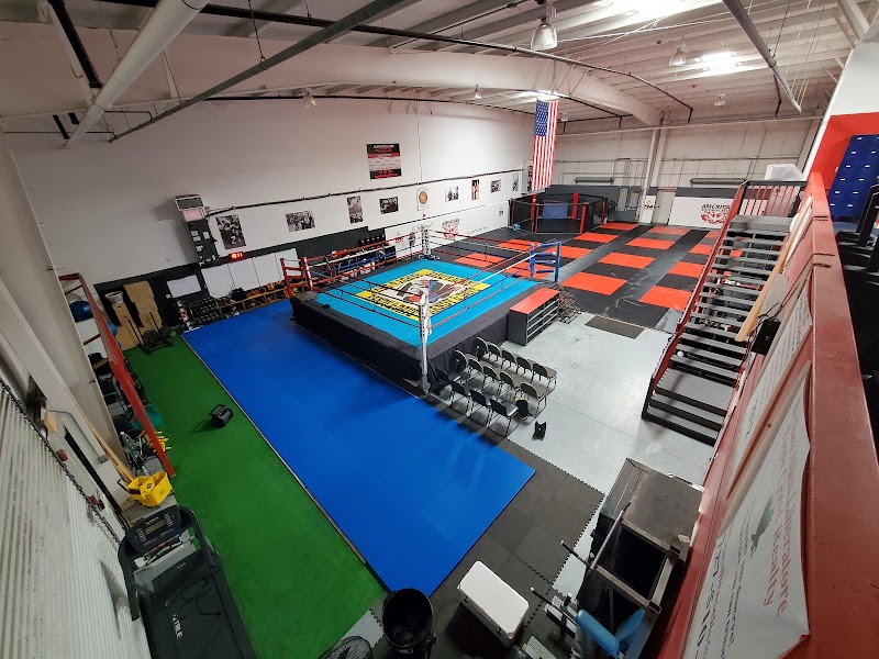 American Mixed Martial Arts photo 2