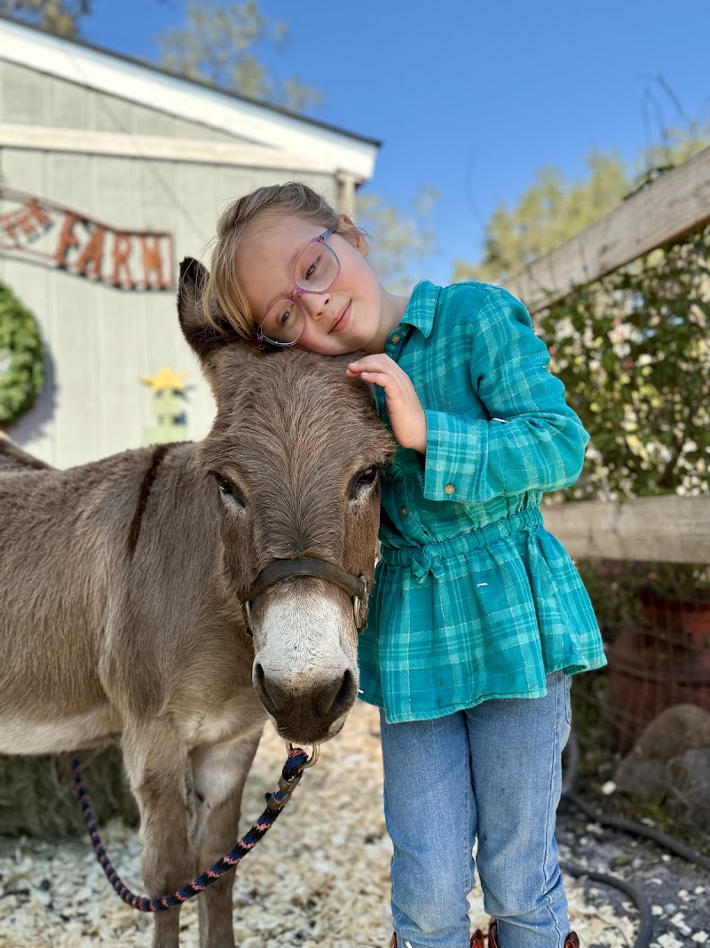 Noah's Ark On Wheels/Noah's Ark Farm Sanctuary photo 4
