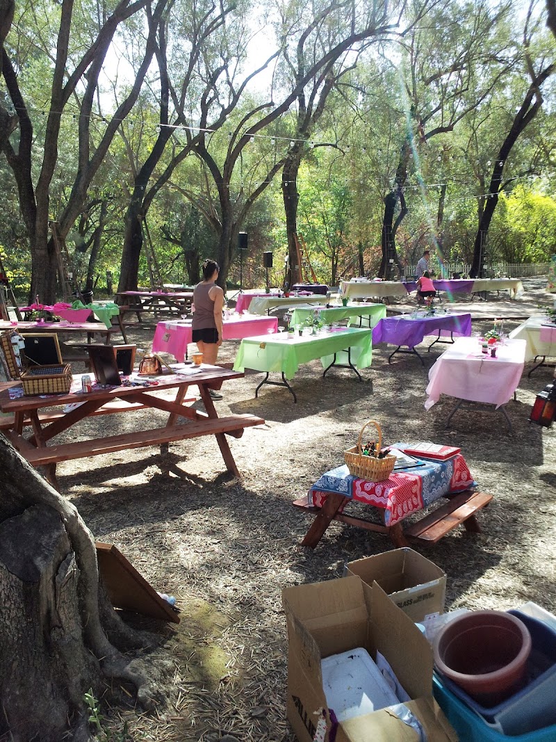 Joyful Ranch photo 4