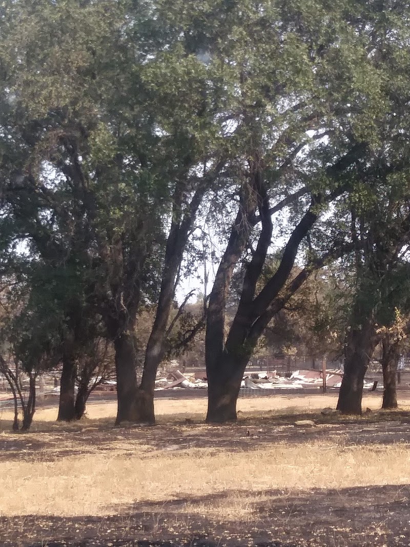 Joyful Ranch photo 5