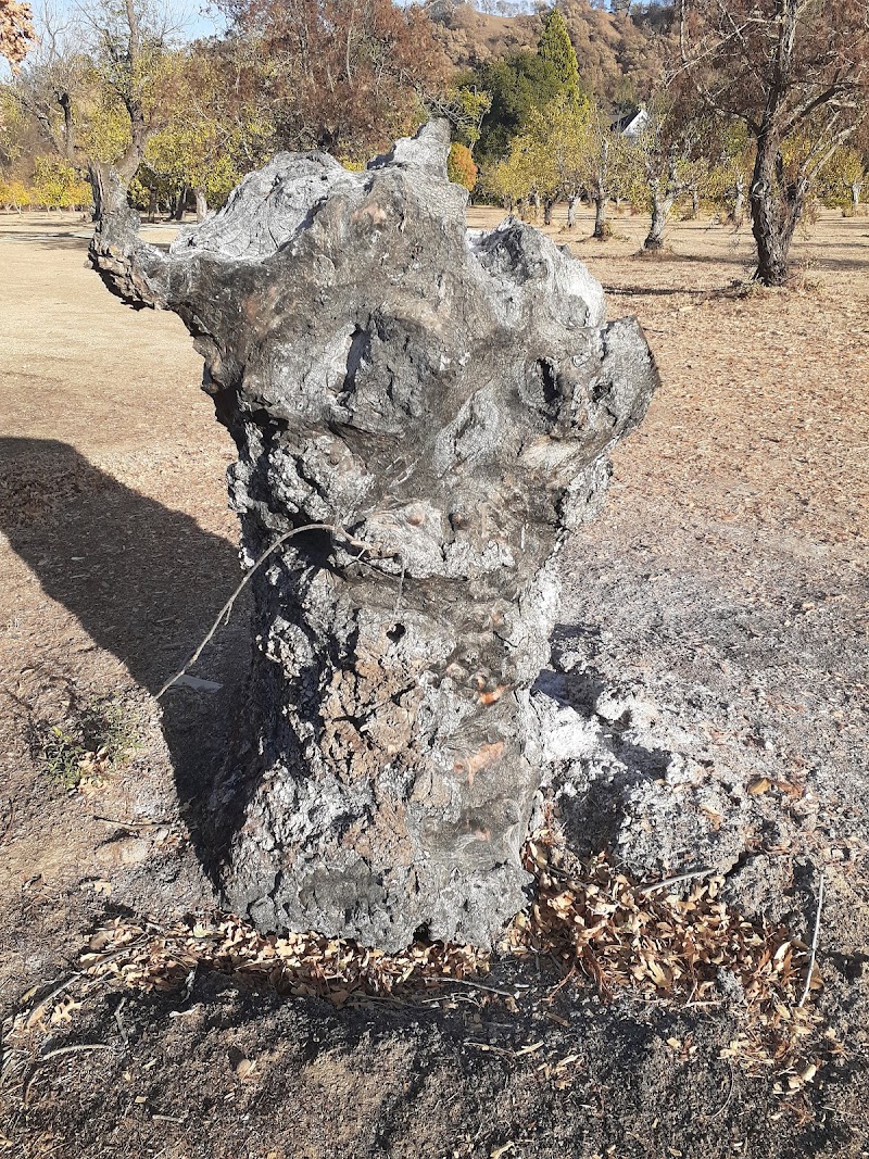 Photo of Joyful Ranch