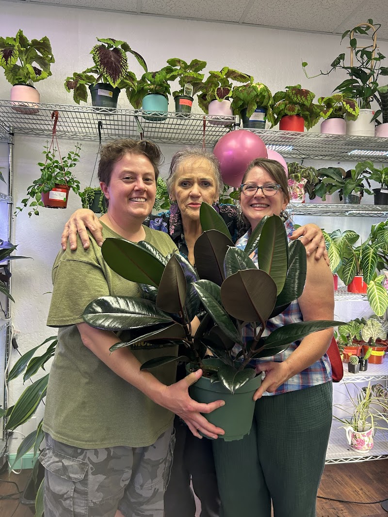 KC Plants & More photo 2