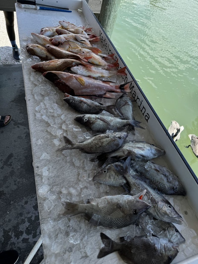 Figured It Out Fishing Charters photo 4