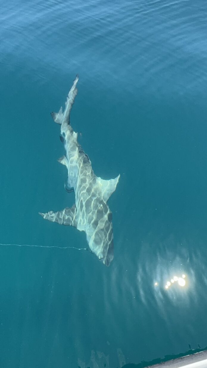 Figured It Out Fishing Charters photo 5
