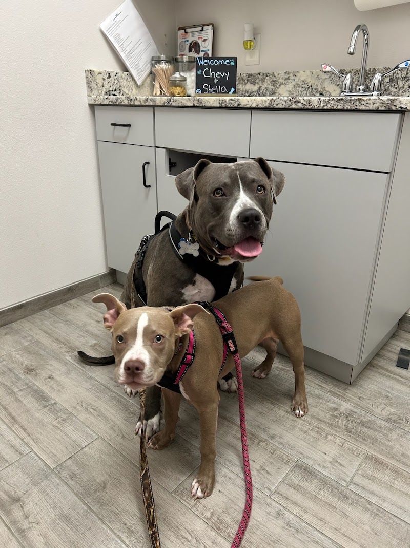 Good Shepherd Pet Hospital photo 5