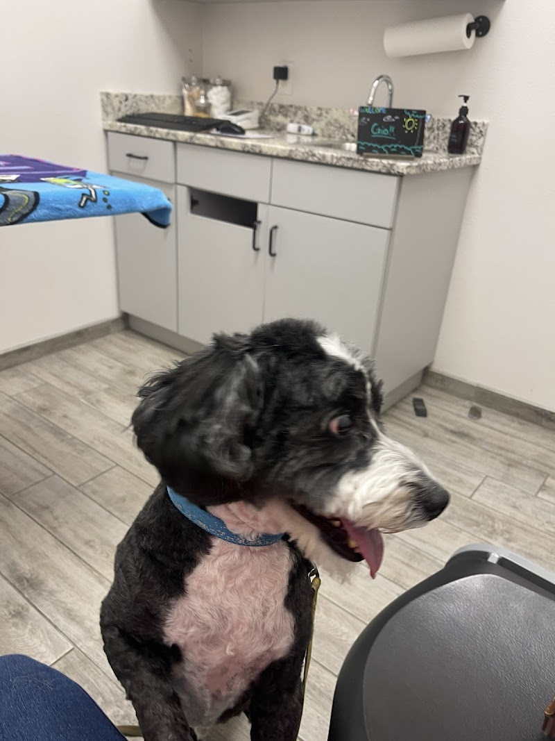 Good Shepherd Pet Hospital photo 3