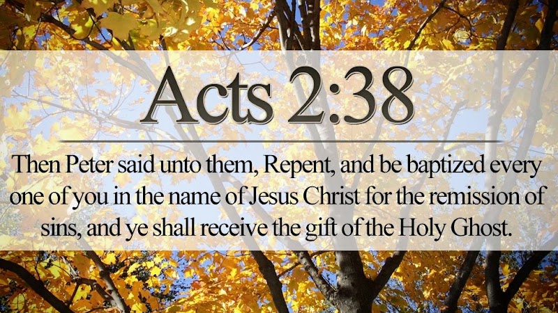 Photo of Bread of Life Apostolic Ministries Intl.