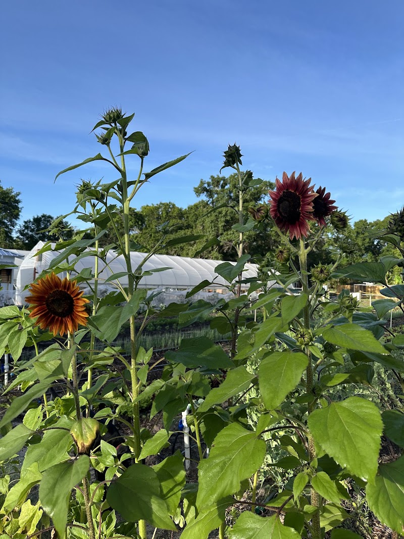 Full Moon Farm photo 5