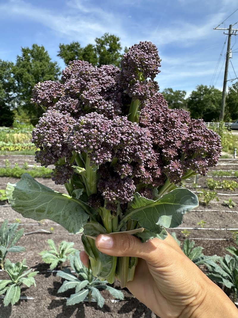 Full Moon Farm photo 4
