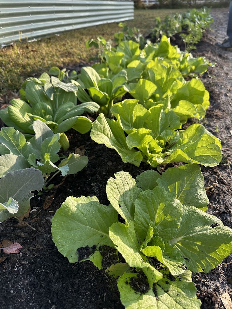 Full Moon Farm photo 2