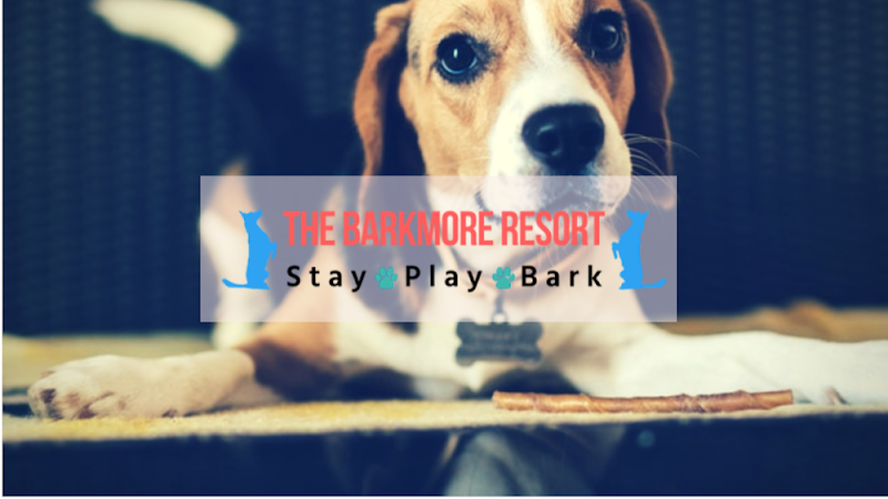 Photo of The BarkMore Resort