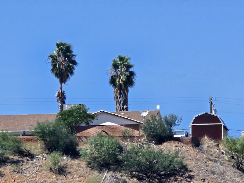 Rio Rico Community Center photo 4
