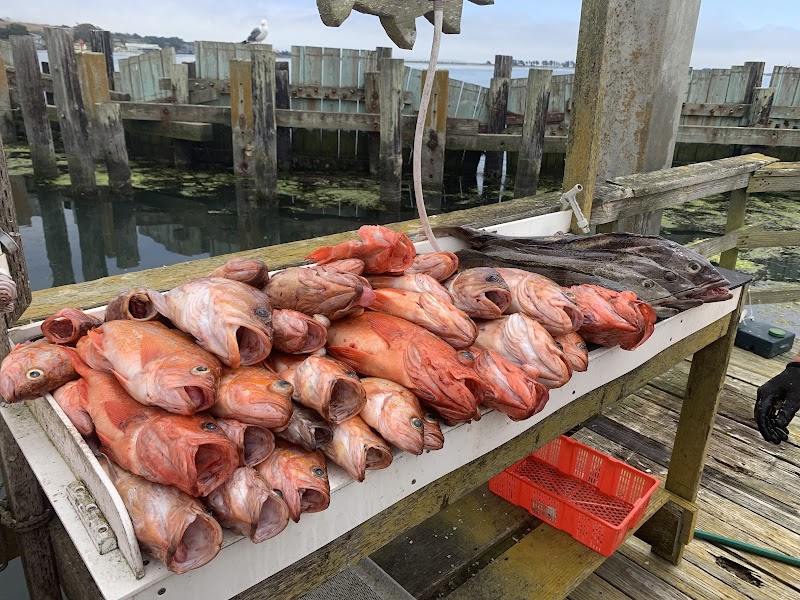 Reel Obsession Sportfishing photo 4