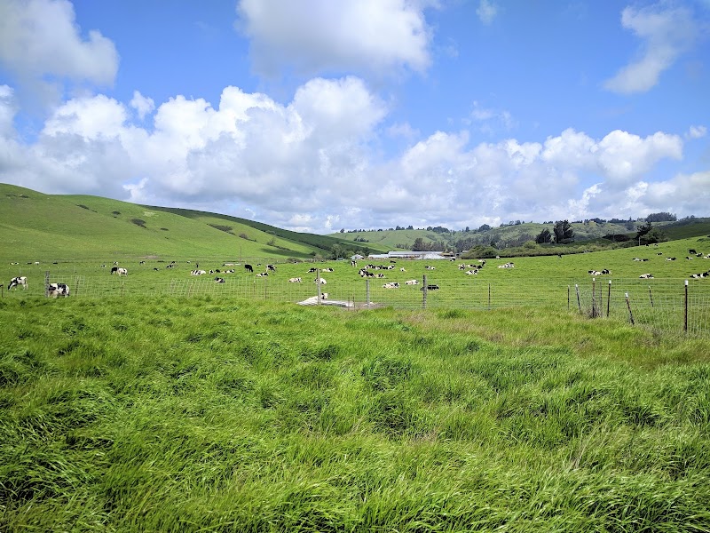 Photo of White Whale Farm